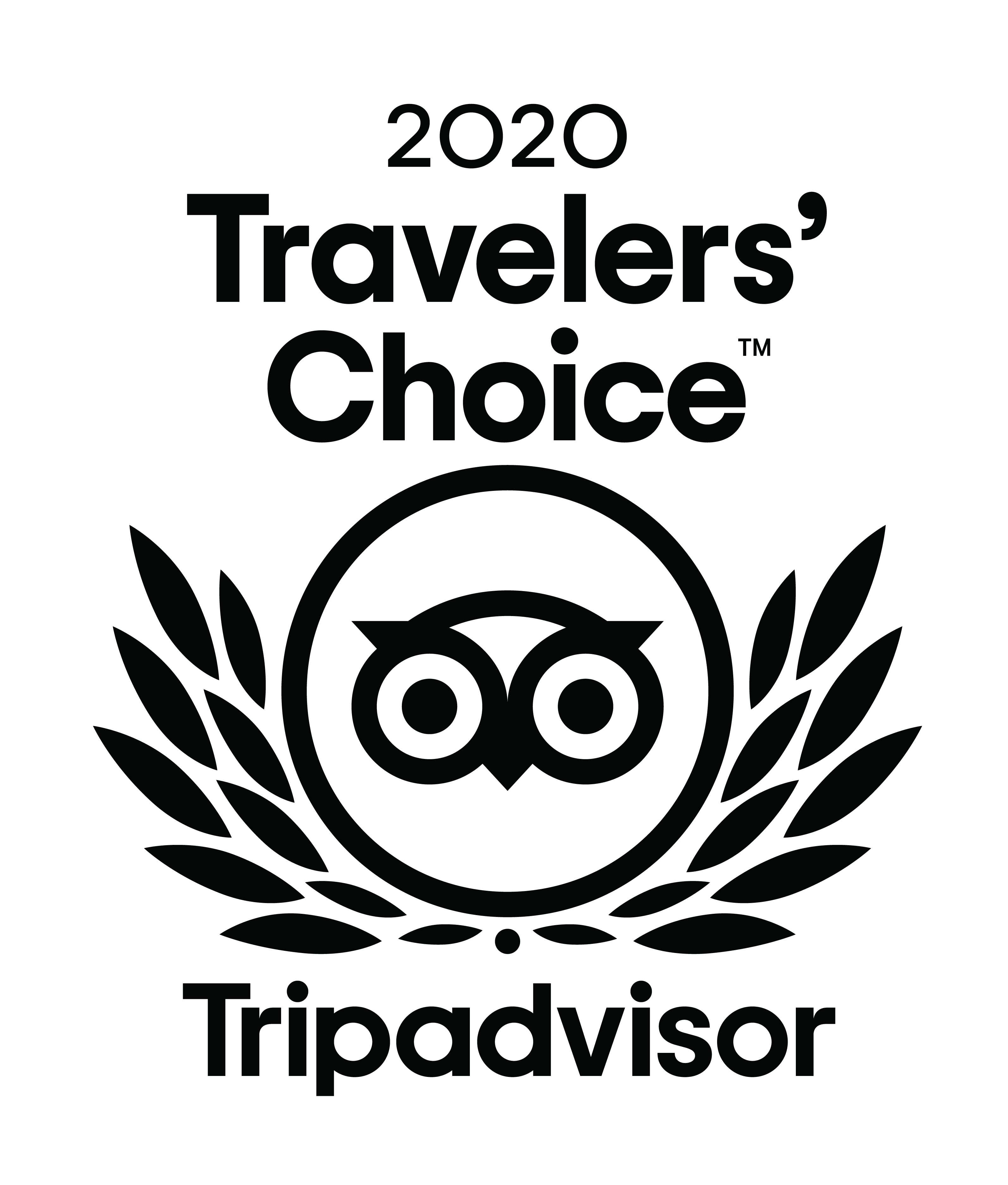 Trip Advisor Travellers Choice Award 2020